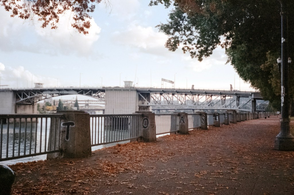 View of the Hawthorne Bridge from a tree-lined path along the Willamette River in Portland, Oregon, with the word ‘TOASTED’ spray-painted on the railing and scattered autumn leaves on the ground.