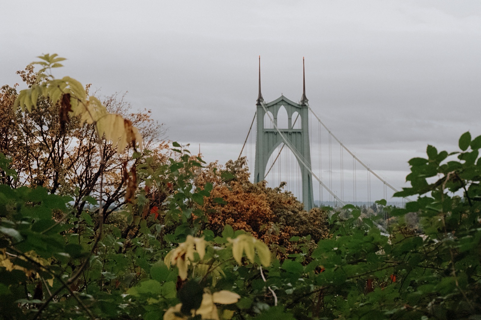 The St. Johns Bridge framed by autumn foliage, with green leaves and golden hues in the foreground under an overcast sky.