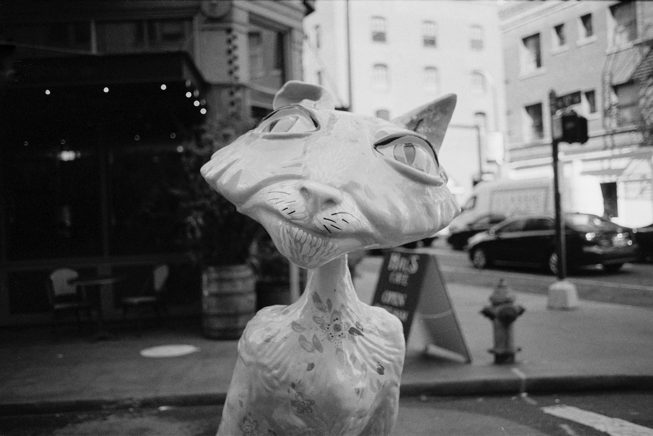 Black-and-white close-up photo of the Coraline cat sculpture in Portland, Oregon.