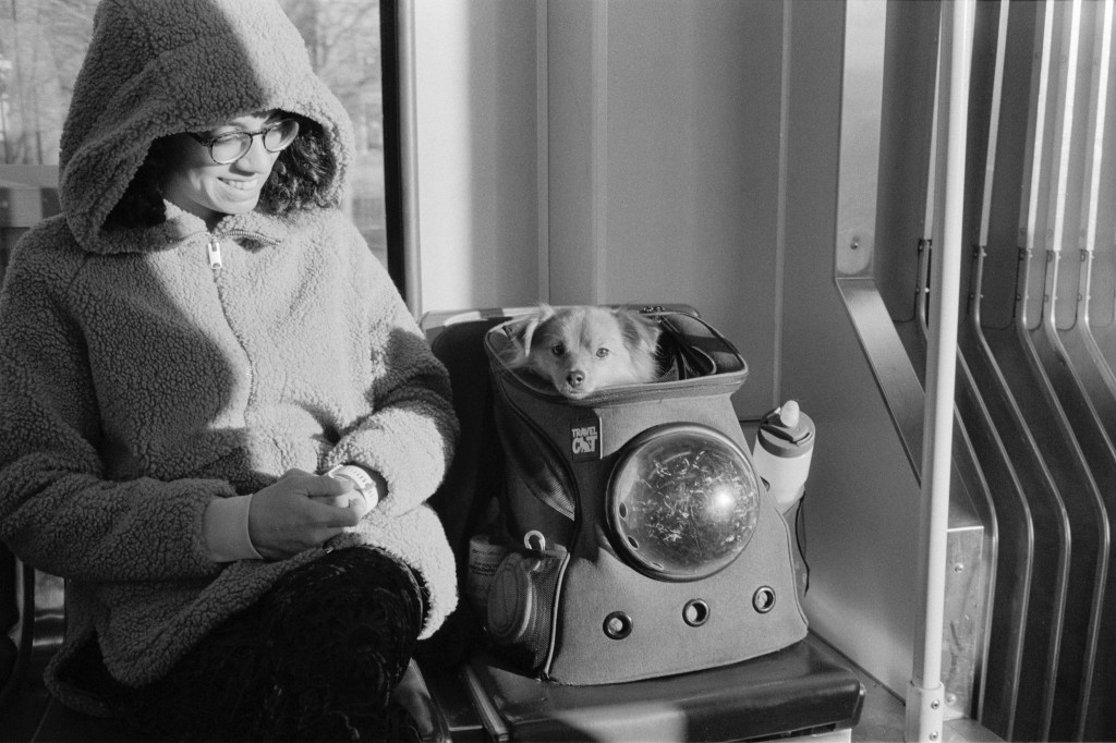 Portland MAX and&nbsp;Downtown